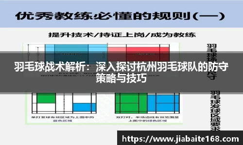 羽毛球战术解析：深入探讨杭州羽毛球队的防守策略与技巧