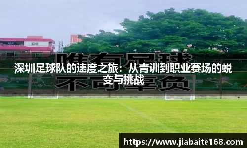 深圳足球队的速度之旅：从青训到职业赛场的蜕变与挑战